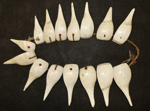 Shell Necklace : Authentic Konyak Tribe Woman's Large Slice Shell Necklace #546