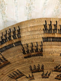 Extraordinary Basket by Kumeyaay Weaver, Paola Vega, # C 1418 Sold