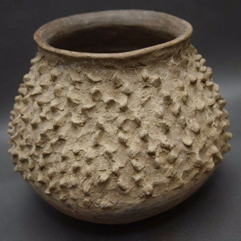 Rare Casas Grandes Prickly Pear Cactus Fruit Effigy, Ca AD 700-1660 #1118 Sold