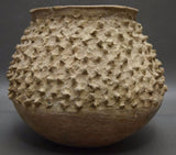 Rare Casas Grandes Prickly Pear Cactus Fruit Effigy, Ca AD 700-1660 #1118 Sold