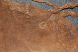 Vintage Bedouin Kuwaiti Sheep Skin Storage Bag, #877 SOLD