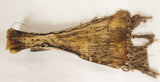 Vintage Indonesian  Carved Water Buffalo Scapula Bone. Ca. 1900's, # 1137