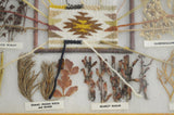 Native American, Navajo, Framed Dye Chart, Ca 1970's, #1509 SOLD