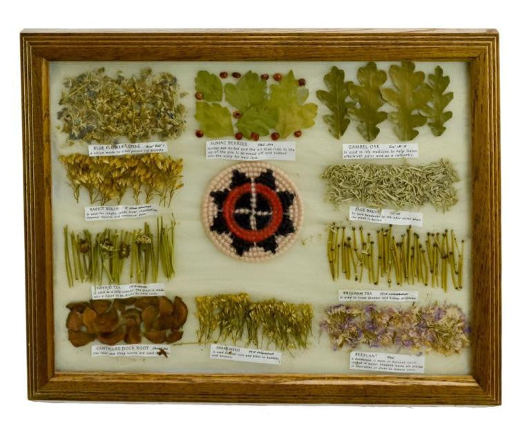 Native American, Pressed Navajo Medicinal Botanical Specimen Board, #856 Sold Out
