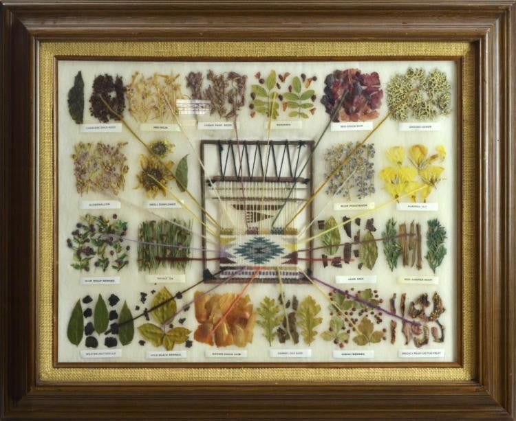 Native American, Navajo Sampler of Vegetal Dyes Used in Navajo Weaving, by Vera Myers, #878 Sold