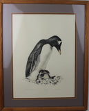 Fine Vintage Lithographic of Gentoo Penguin and Her Chicks, 115/150, by M. Stanu, Ca 1970's. #1397