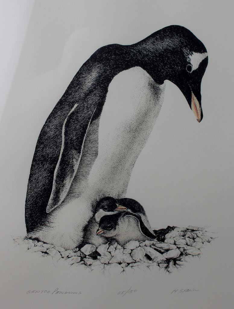 Fine Vintage Lithographic of Gentoo Penguin and Her Chicks, 115/150, by M. Stanu, Ca 1970's. #1397