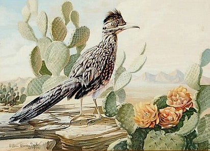 Watercolor : William Warren Dailey Watercolor, "Arizona Roadrunner" Flowering Cacti & Desert Vistas