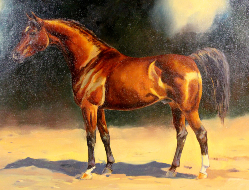 Western Artist Ron Stewart Oil Painting on Canvas, Masruf El Nattall, Arabian Stallion, Ca 1970, #695